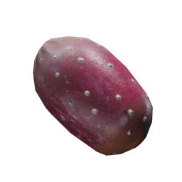 仙人果